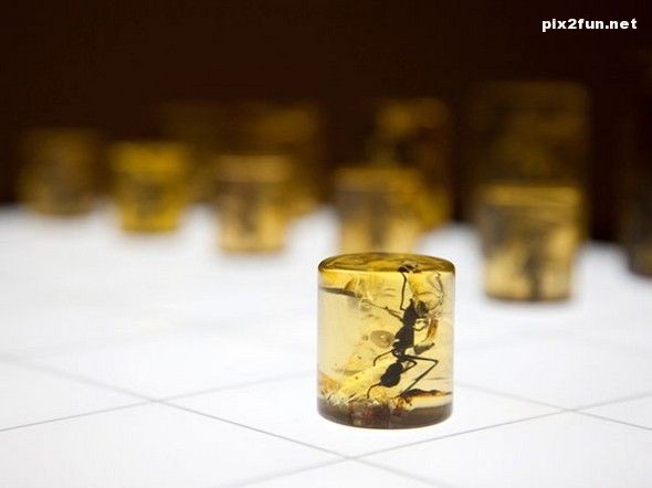 عکس هایی از میز شطرنج خلاقانه و جالب