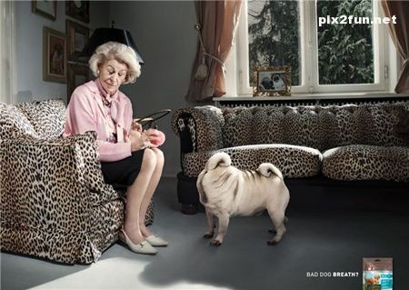 تصاویری از تبلیغات جالب علیه بوی دهان