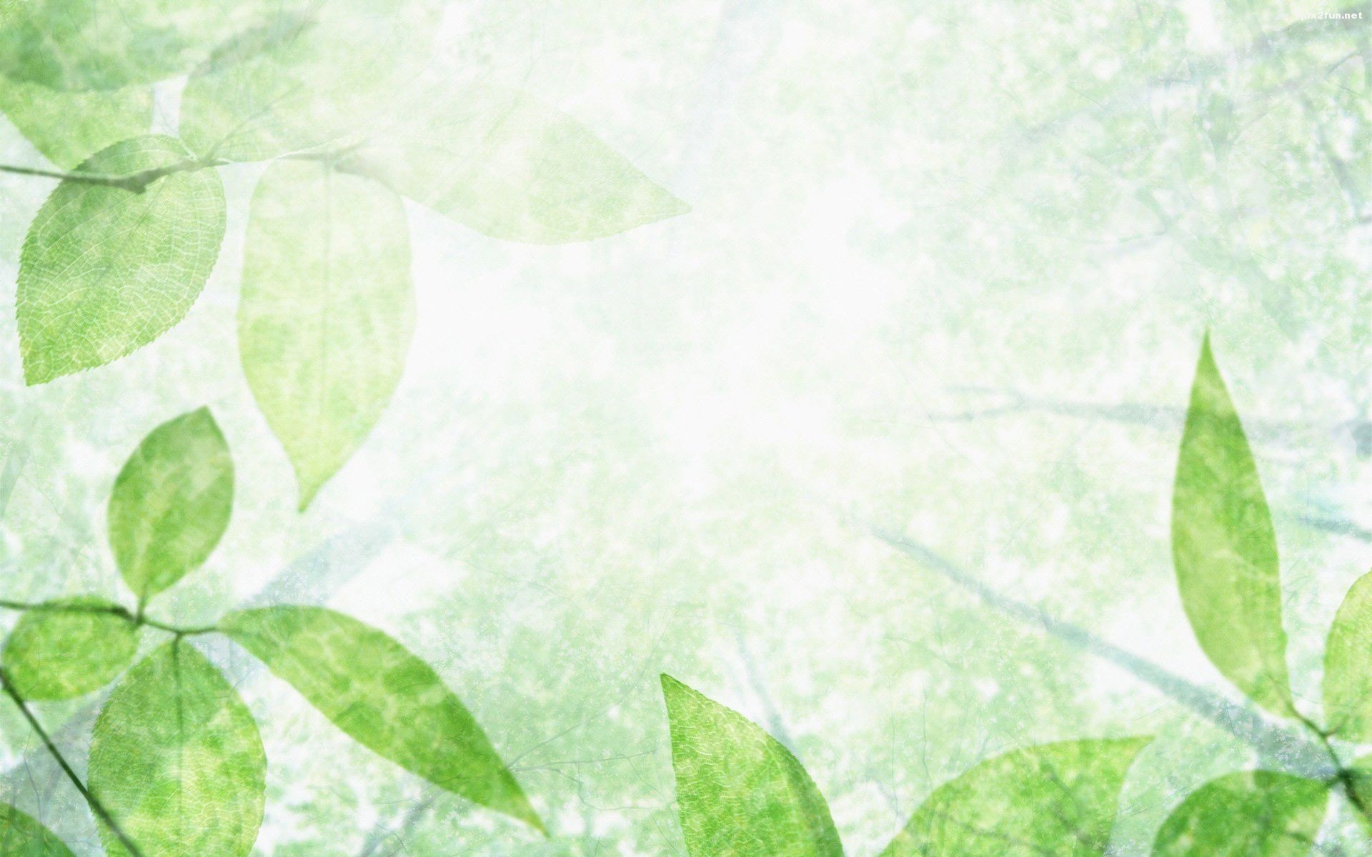 والپیپر های زیبا با طرح گیاه