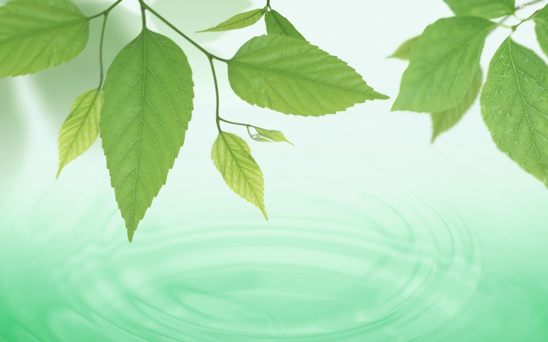 تصاویر پس زمینه با طرح طبیعت