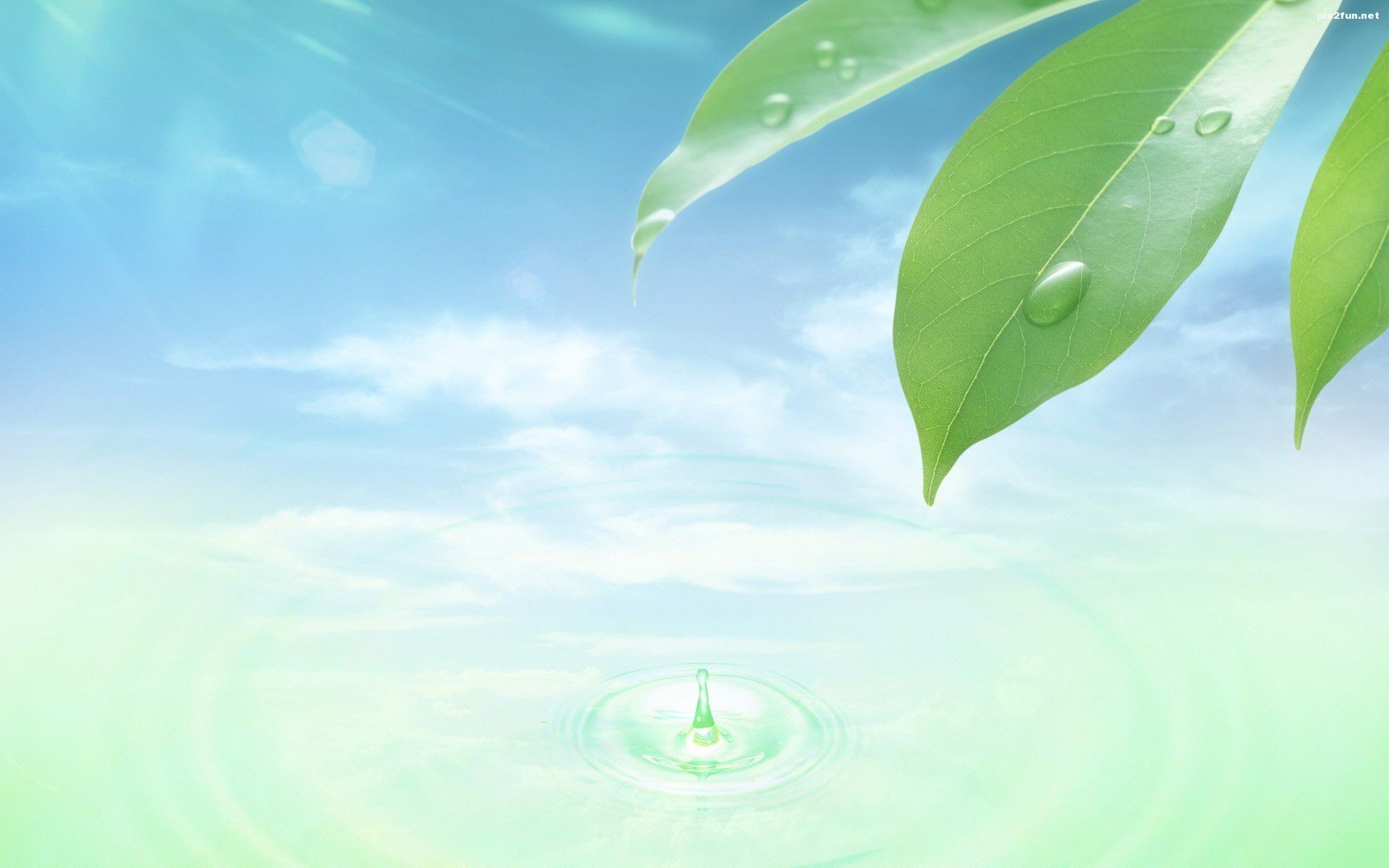 تصاویر پس زمینه با طرح طبیعت