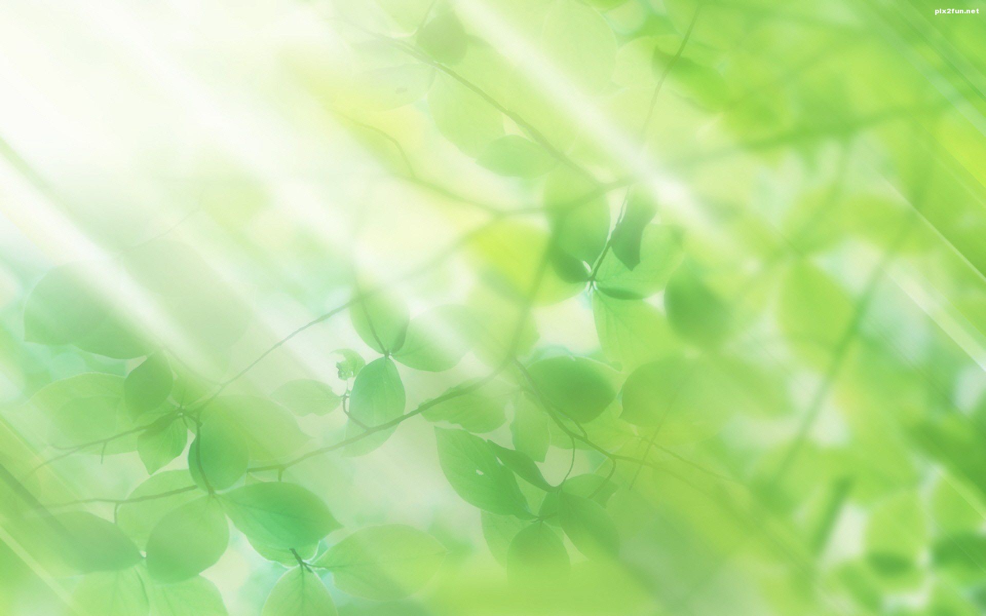 تصاویر پس زمینه با طرح طبیعت