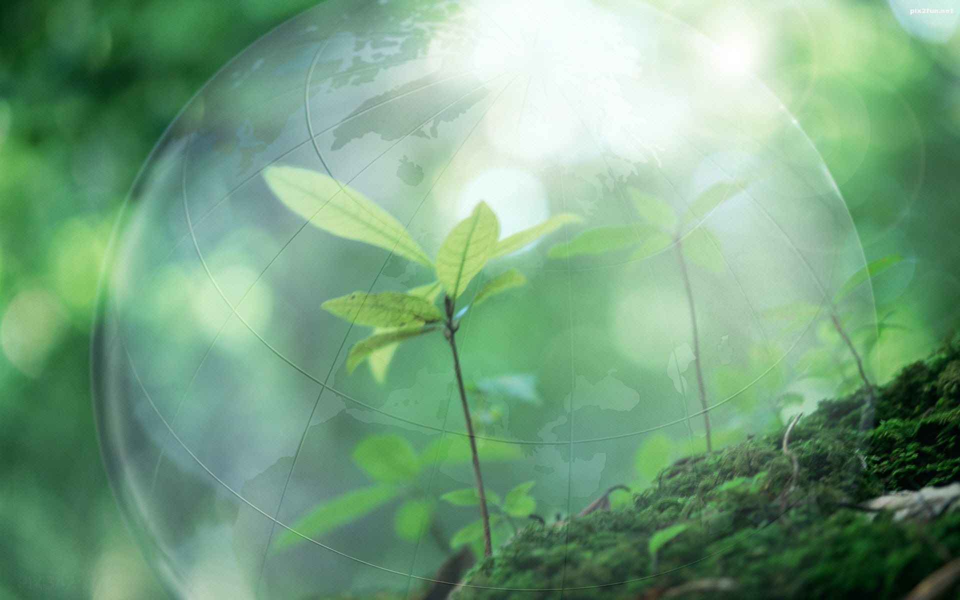 تصاویر پس زمینه با طرح طبیعت