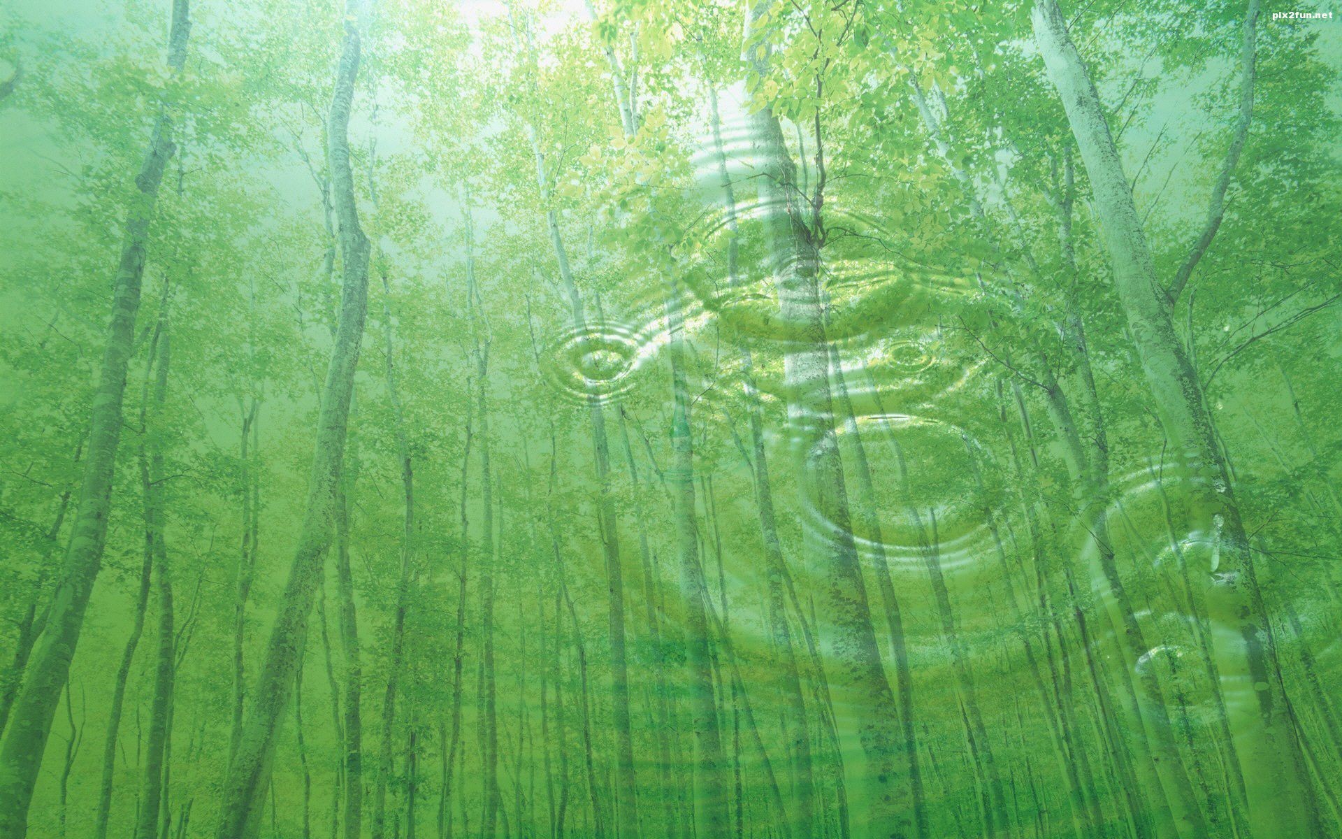 والپیپر های زیبا با طرح گیاه