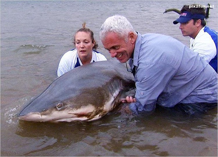 عکس های عجیب از شکار بزرگترین ماهی ها