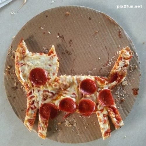 تصاویر زیبا از بازی با غذا ها