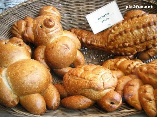 تصاویر زیبا از بازی با غذا ها