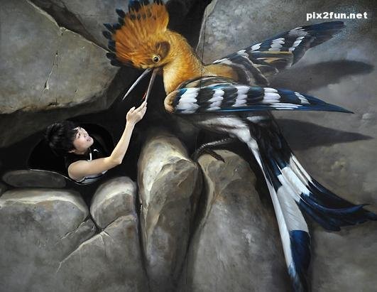 نمایشگاه نقاشی های سه بعدی در چین