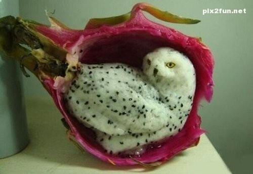 عکس های بسیار زیبا از بازی با غذا ها