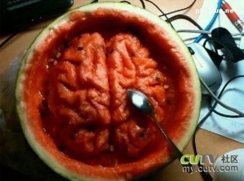 عکس های بسیار زیبا از بازی با غذا ها