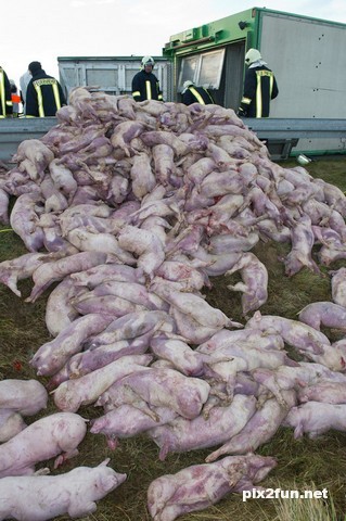  عکس های جذاب و دیدنی های امروز